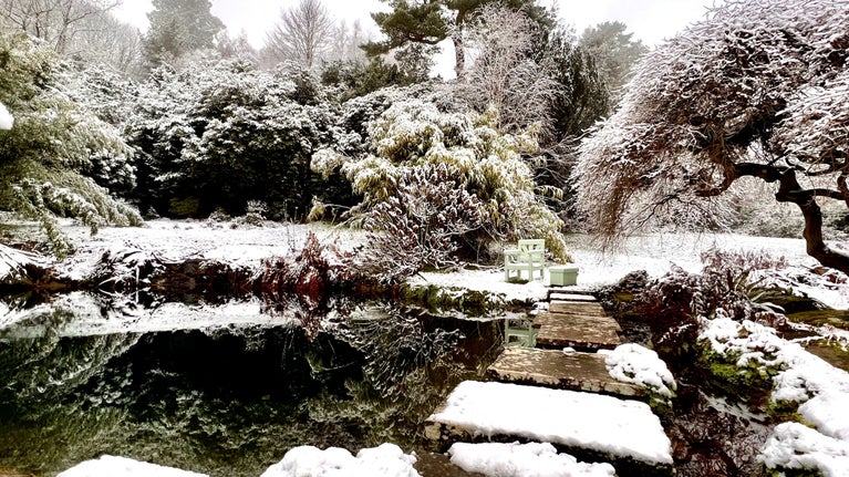 Snow covers the trees, ground and stepping stones surrounding the golden orfe fish pond at Chartwell. Reflections of the trees appear on the surface of the pond. A green wooden chair and box across the bond mark Churchill's favourite place to sit and feed the fish.